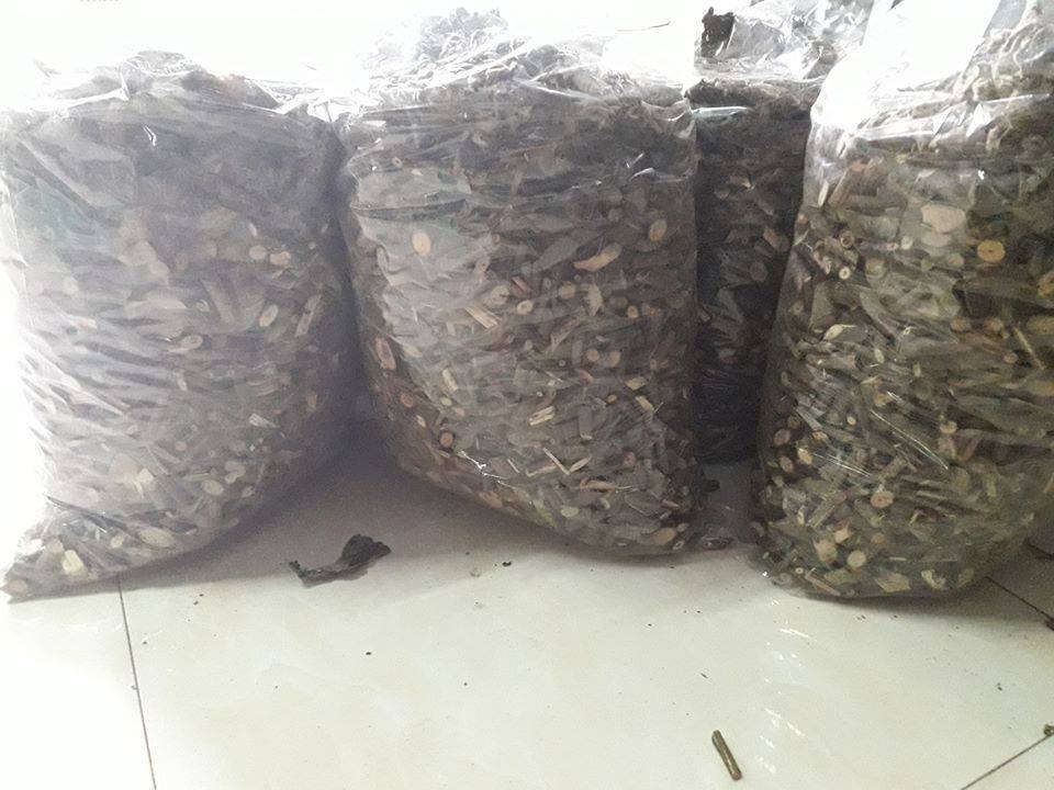 Cây an xoa hỗ trợ điều trị viêm gan B View 3