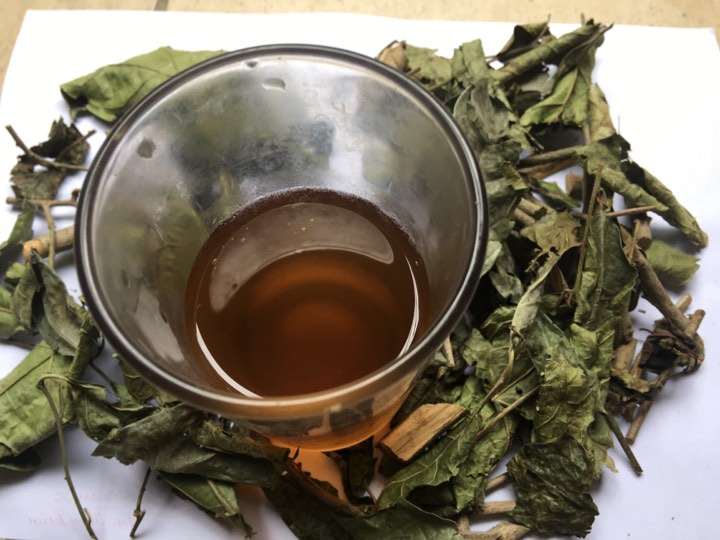 Kết hợp cây xạ đen và cây an xoa