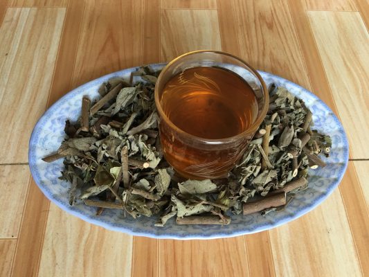 Uống cây an xoa có giảm cân không 1