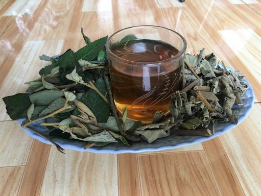 Uống cây an xoa vào sáng sớm có được không?