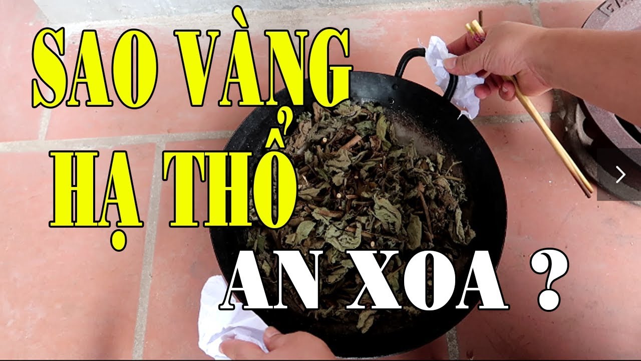 Sao vàng hạ thổ thân lá cây an xoa có tốt không?,
