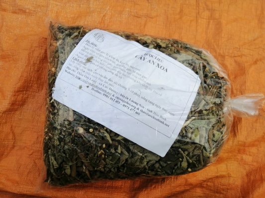 Mua bán cây an xoa tại Khánh Hòa