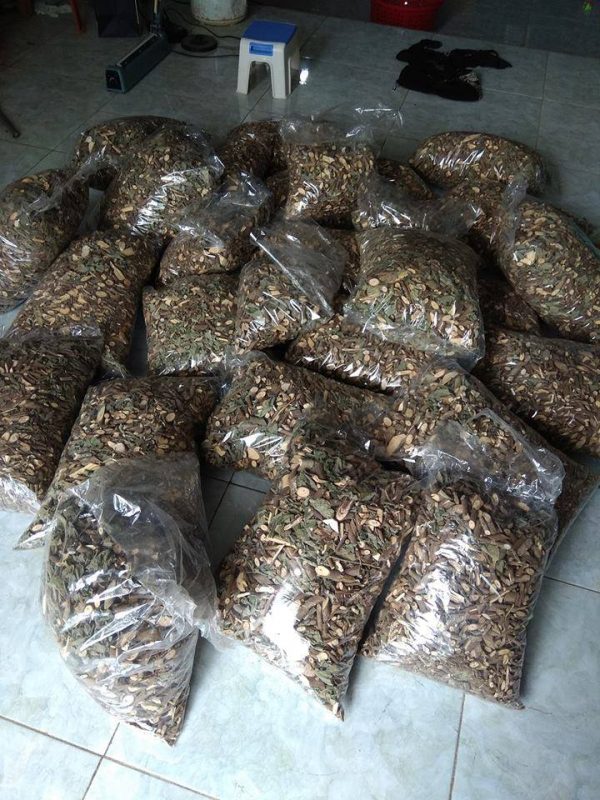 Mua bán cây an xoa tại Tiền Giang