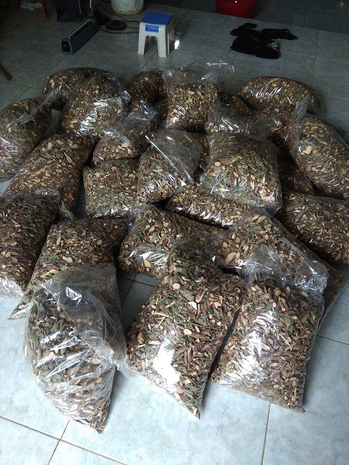 Mua bán cây an xoa tại Tiền Giang