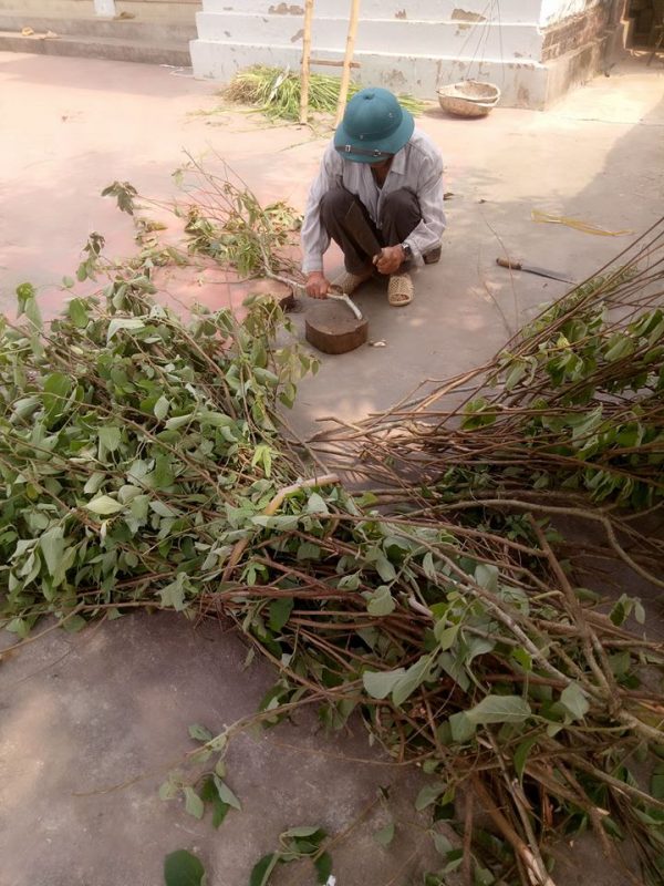 Mua bán an xoa hỗ trợ chữa bệnh ung thư gan tại Vĩnh Long