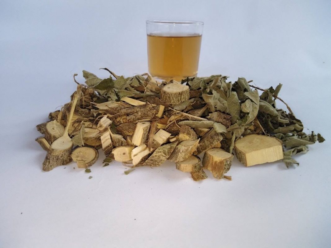 Uống cây an xoa bị tiêu chảy phải không?