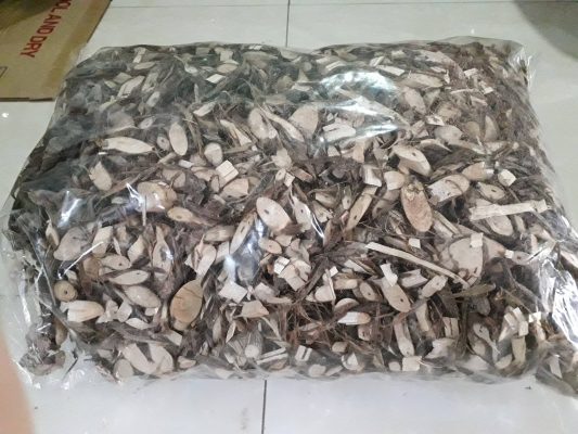 Trẻ nhỏ dưới 5 tuổi dùng được cây an xoa không?