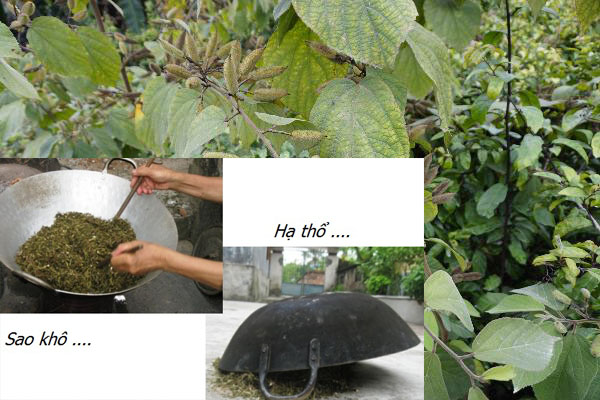 Hướng dẫn cách sao vàng hạ thổ an xoa