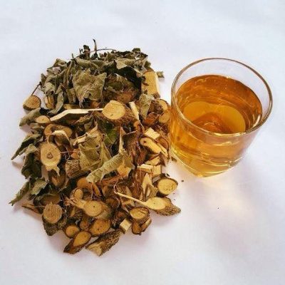 Uống cây an xoa nhiều bị vô sinh không