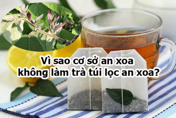 Vì sao cơ sở An Xoa Hòa Bình không làm trà túi lọc an xoa? 1