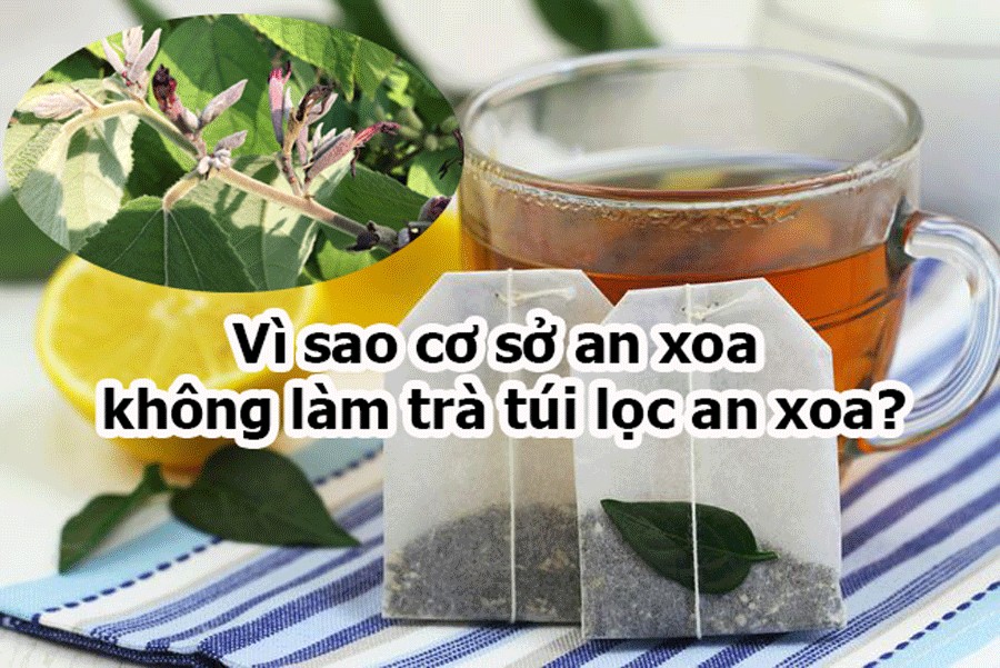 Vì sao cơ sở An Xoa Hòa Bình không làm trà túi lọc an xoa? 1